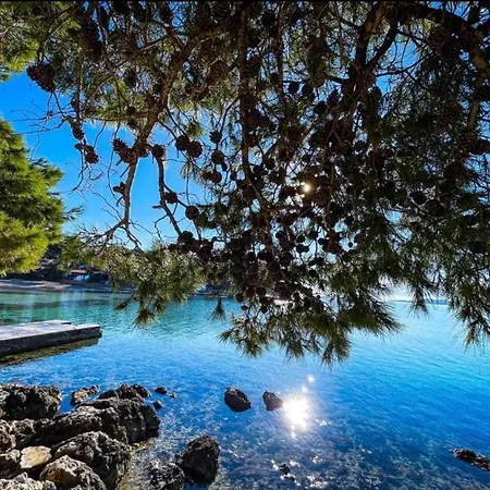 Mobile Anja - Biograd * 比奥格勒·纳·莫鲁